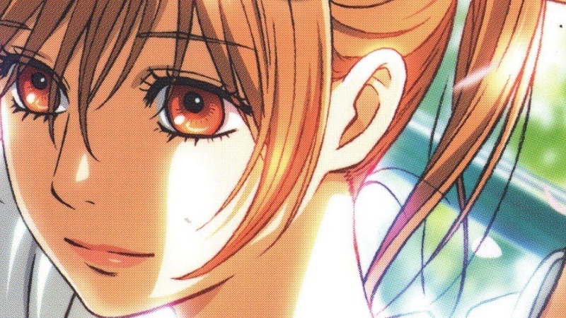 Chihayafuru DLE — Adivinhe o personagem secreto · Pistas, atributos e aquele chute certeiro