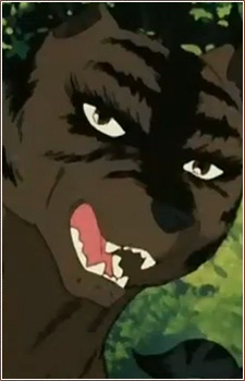 Chūtora