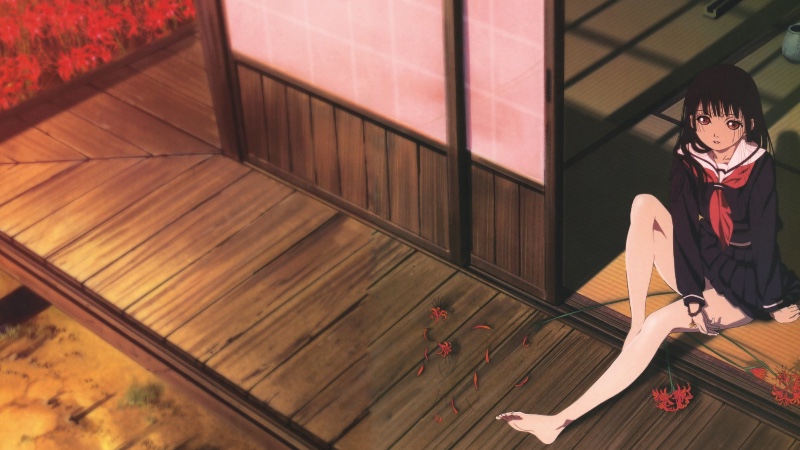 Jigoku Shoujo DLE — Adivinhe o personagem · Pistas, atributos e aquele chute certeiro