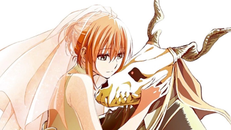 Mahoutsukai no Yome — Adivinhe o Personagem · Pistas, atributos e aquele chute certeiro
