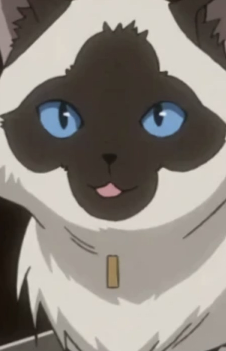 Kumaneko