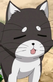 Michi