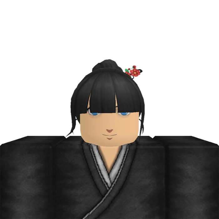 Mirror Ninja (Reflection)