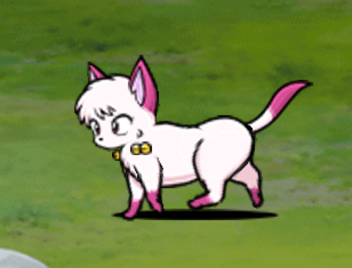 Shampoo (Cat)
