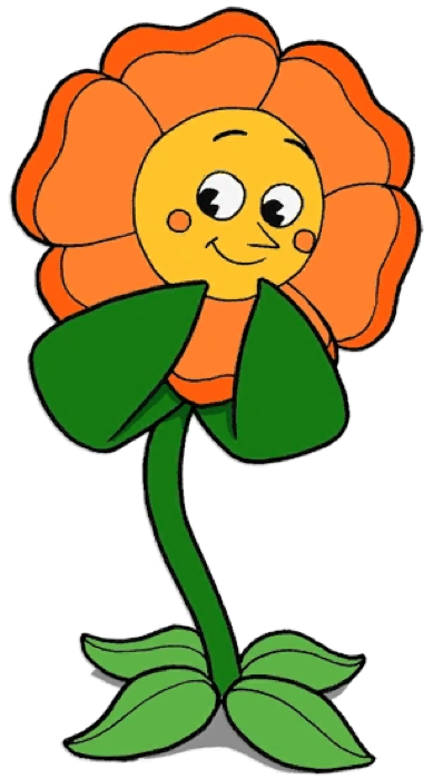 Cagney Carnation