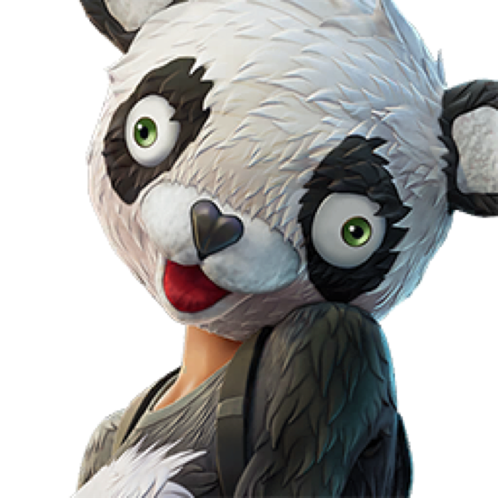 P.A.N.D.A Team Leader