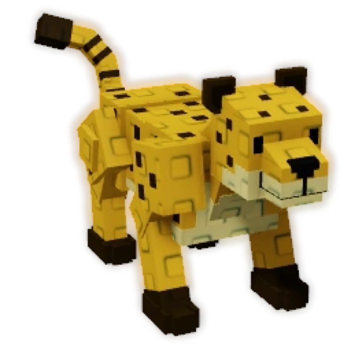 Cheetah