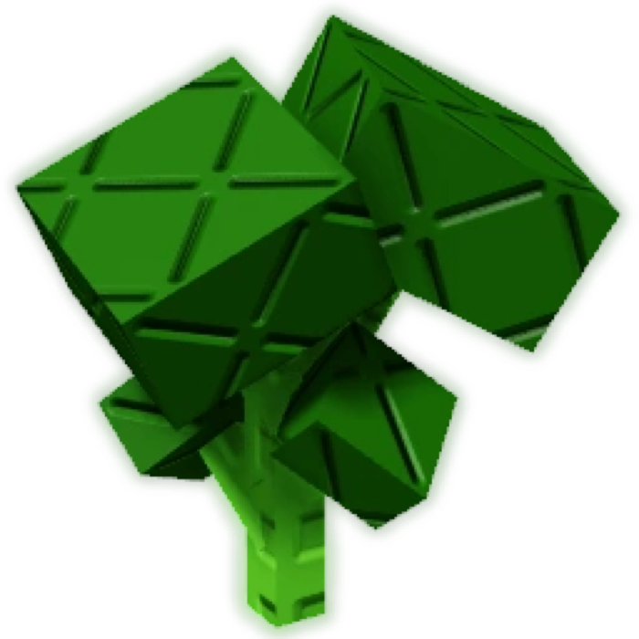 Broccoli