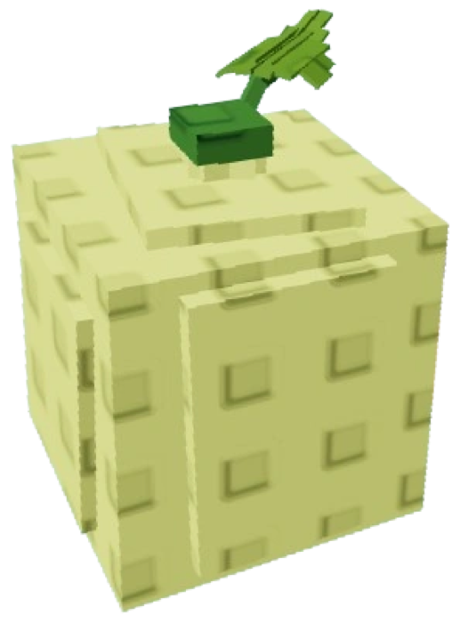 Cantaloupe