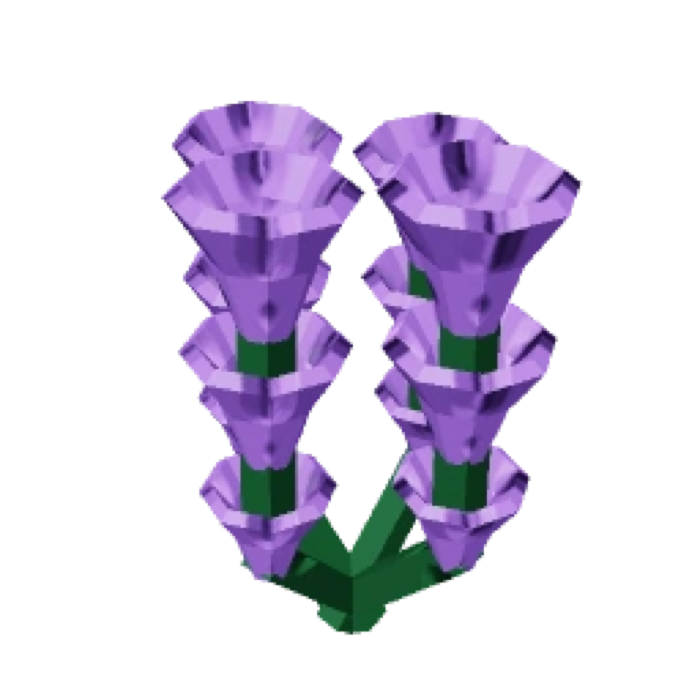 Lavender