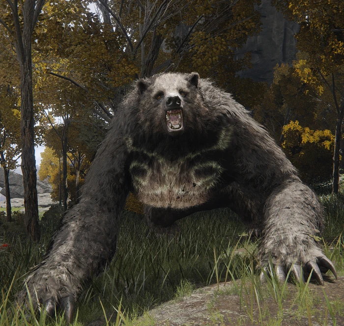 Urso Rúnico
