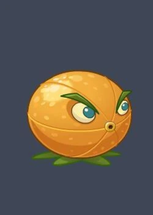 Cítron