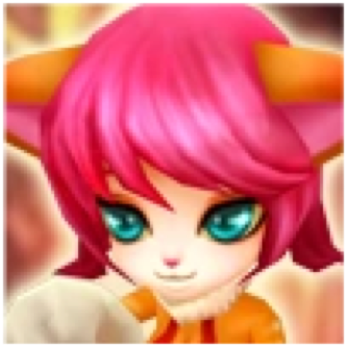 Martial Cat