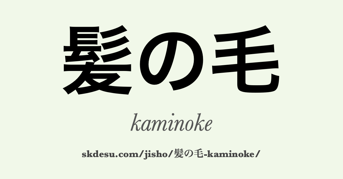 髪の毛