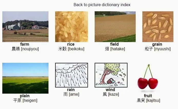 Online Picture Japanese Dictionary