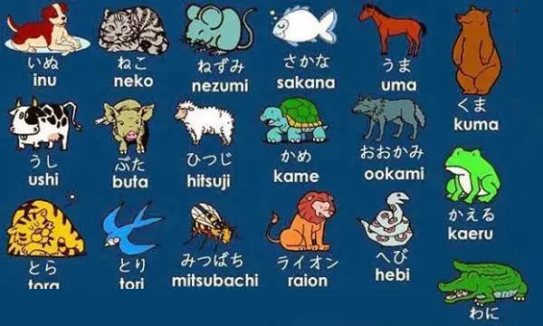 Animais em japonês – Doubutsu [動物]