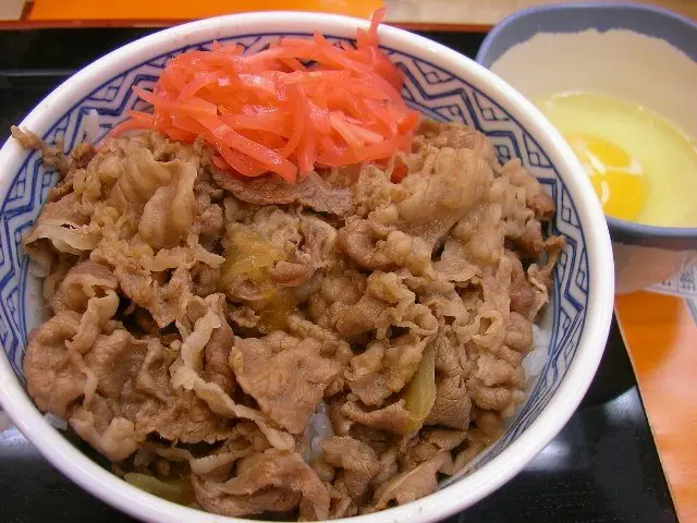 Gyudon barato no Japão Tigela de gyudon em restaurante barato no Japão