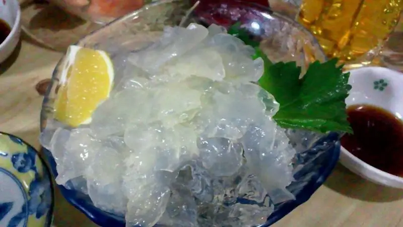 10 Comidas Estranhas do Japão Água Viva