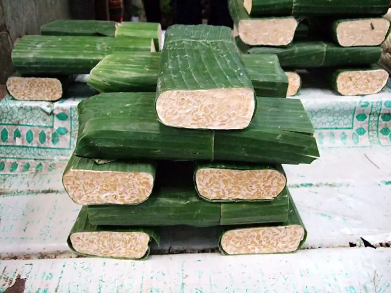 Alimentos do Japão, derivados de soja Tempeh tempe.webp