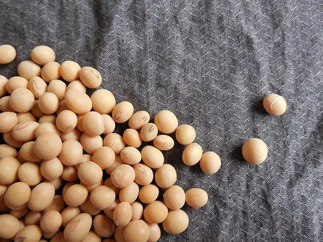 Shoyu - Curiosidades sur la sauce soja