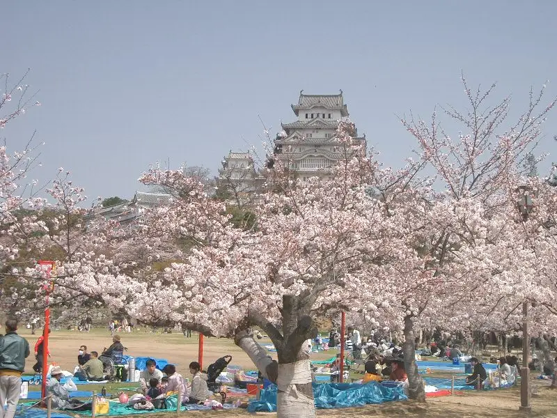 Coisas para se fazer em Maio - Japão - Festivais e eventos de maio