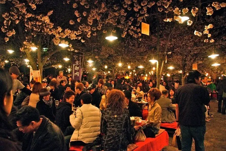 11 Épocas e Temporadas que acontecem no Japão Hanami (Cherry Blossom Viewing)