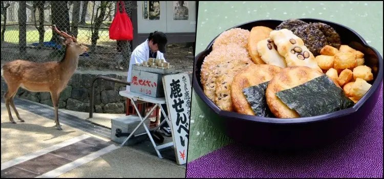 Yatai - Conheça as comidas de rua do Japão Yatai - Conheça as comidas de rua do Japão senbei