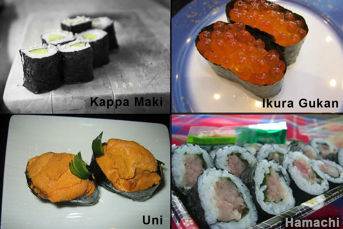 130 Tipos de Sushi – Urumaki, Hossomaki, Nigiri Tipos de Sushi, Urumaki, Hossomaki e Nigiri, Urumaki