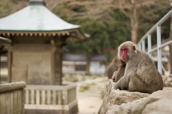 คุณรู้จัก Beppu? เมืองของ Onsen? คุณรู้จัก Beppu? เมืองของ Onsen?