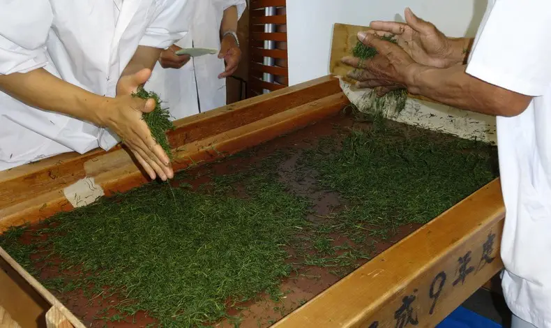 Conheça 50 Tipos de Chás Japoneses Conheça 50 Tipos de Chás Japoneses