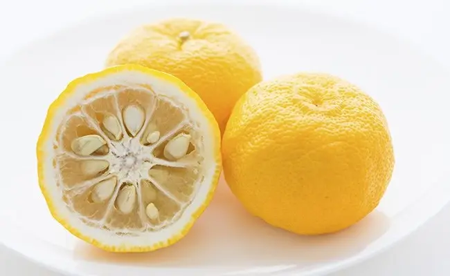 Os principais temperos e condimentos japoneses PONZU - MOLHO DE LIMÃO
