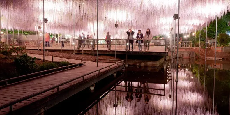 สวนและสวนสาธารณะที่ดีที่สุดทั่วญี่ปุ่น