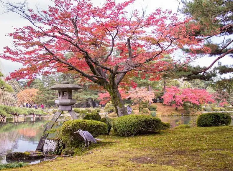 Aki - Estação do Outono no Japão