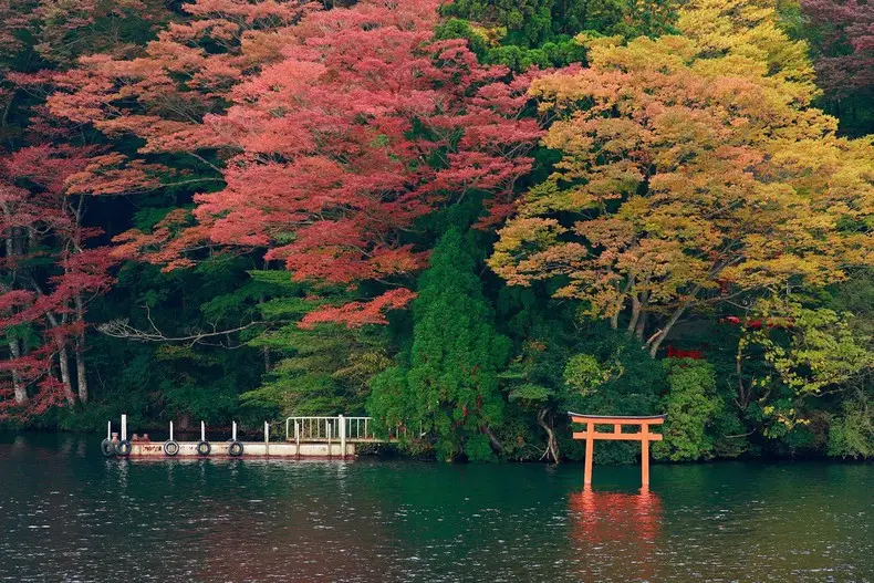 Aki - Estação do Outono no Japão