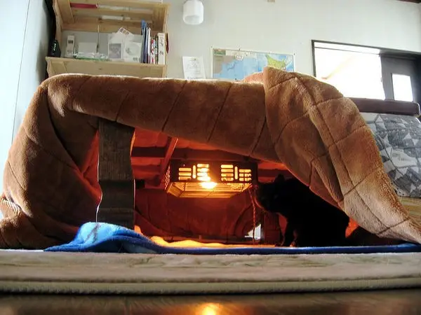 kotatsu