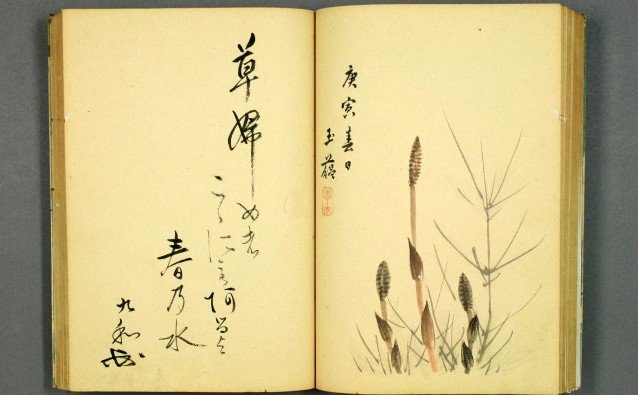 Poemas Japoneses no Brasil - A história da migração em poesia