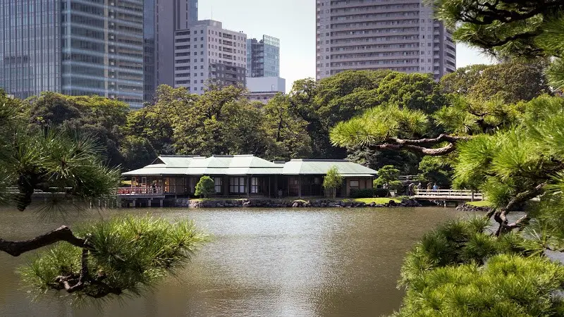 สวนฮามาริคิว - ชูโอ 