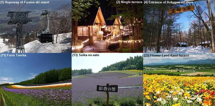 Guia Hokkaido - Sapporo, Hakodate, Otaru e Asahikawa e Furano