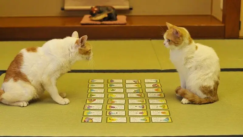 Karuta - 100수의 시 게임
