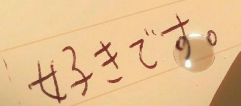 Suki Desu Logo mit dem Schriftzug des Blogs vor einem hellen Hintergrund