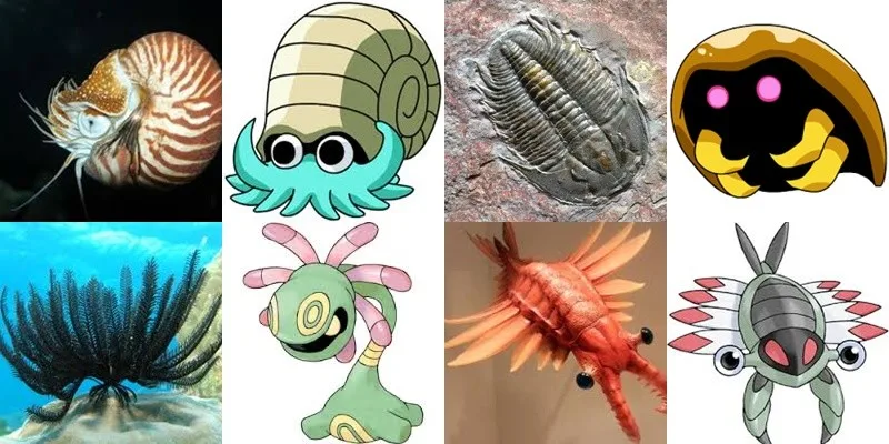 Pokémon fosil yang terinspirasi dari hewan nyata