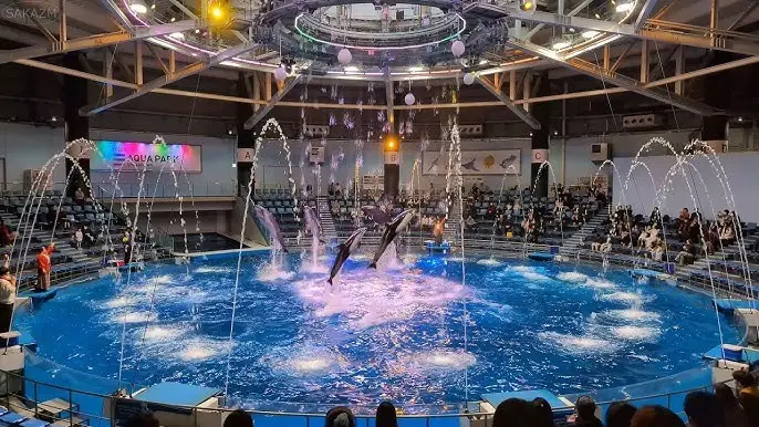 Explorando o Aquário de Shinagawa em Tokyo