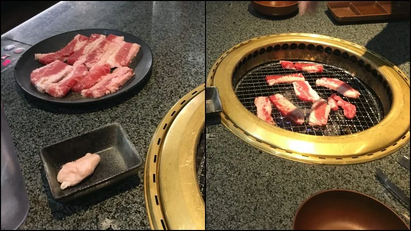 Lista de Pratos Japoneses - O que eu comi no Japão?
