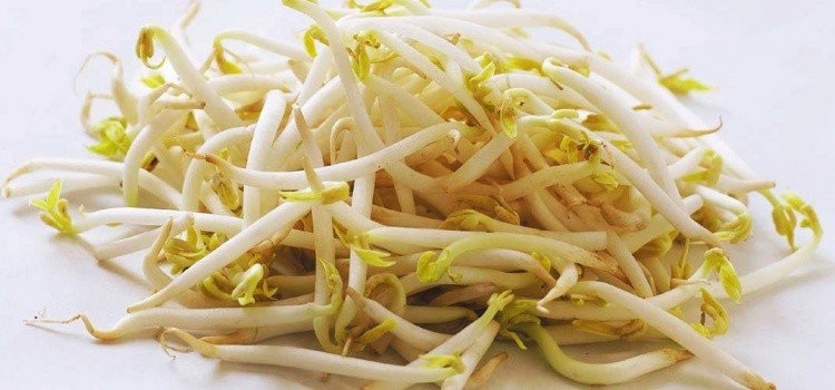 Moyashi - Kecambah kedelai - Murah dan bergizi