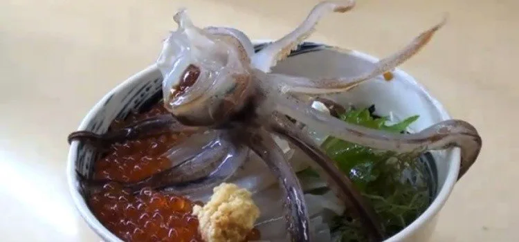 Insetti sul riso: una preparazione regionale giapponese Ciotola di riso con insetti: piatto tradizionale giapponese a base di cavallette o larve servite sul riso, specialità regionale