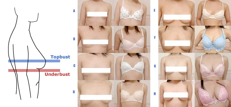 Oppai - The Breasts of Japanese Women