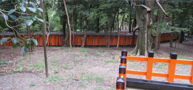 Torii and mountain path Torii gate framing a mountain path in Japan