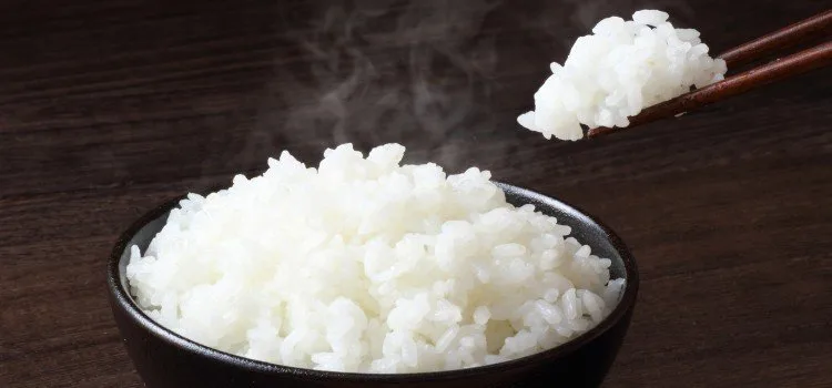 Alimentação japonesa e arroz Gohan e o arroz japonês