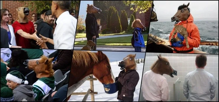 Máscara de cabeza de Cavalo - Como viralizou? Máscara de cabeza de Cavalo - Como viralizou?