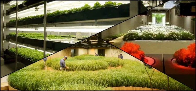 A farm inside a building? Meet Pasona O2